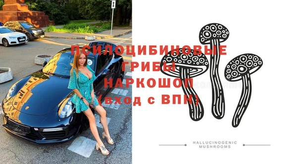 мескалин Заводоуковск