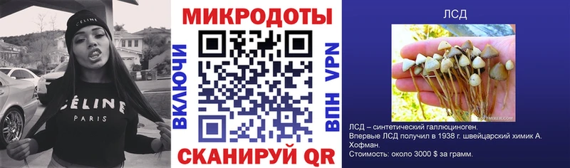 Псилоцибиновые грибы Psilocybine cubensis  Купить закладки  Видное 